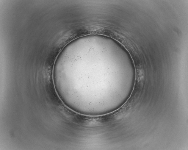 X0000116040664200912041813