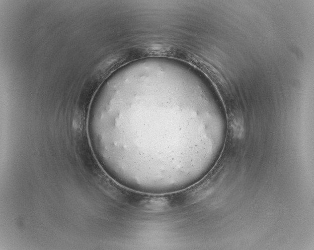 X0000116040665200912041813