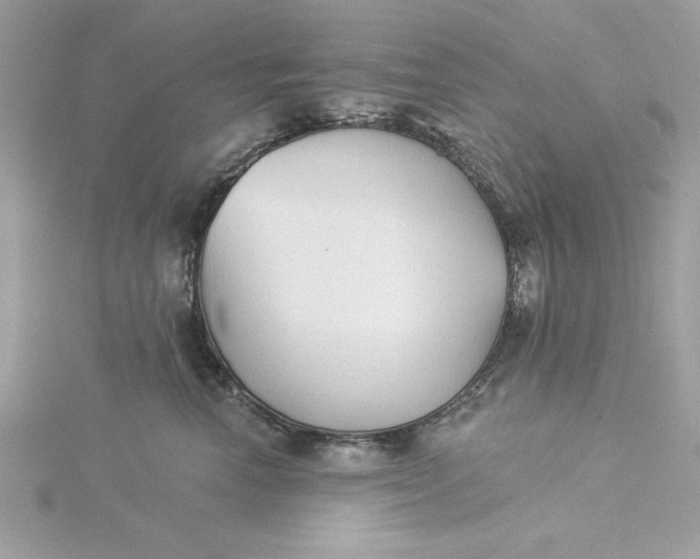 X0000116040666200912041813