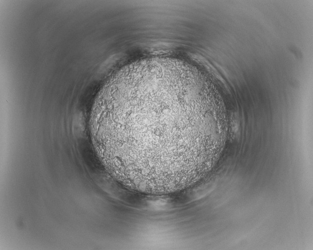 X0000116040667200912041813