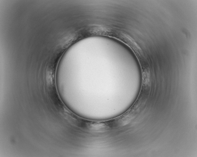 X0000116040669200912041813