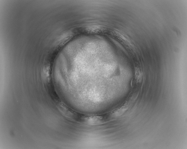 X0000116040670200912041813