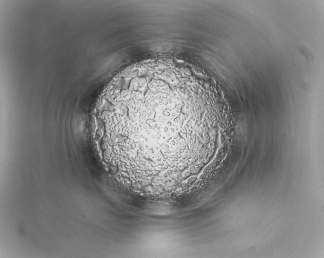 X0000116040671200912041813