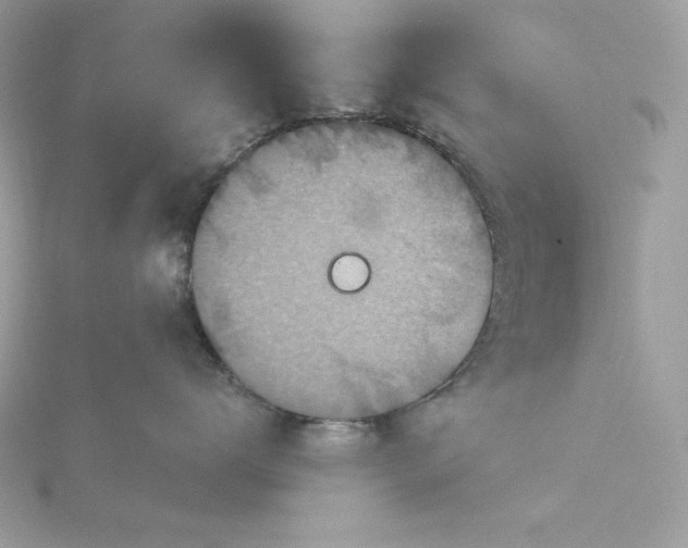 X0000116040672200912041813