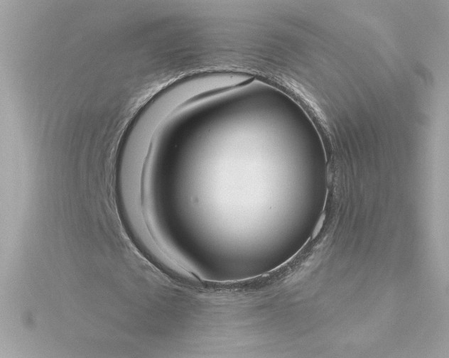 X0000116040673200912041812