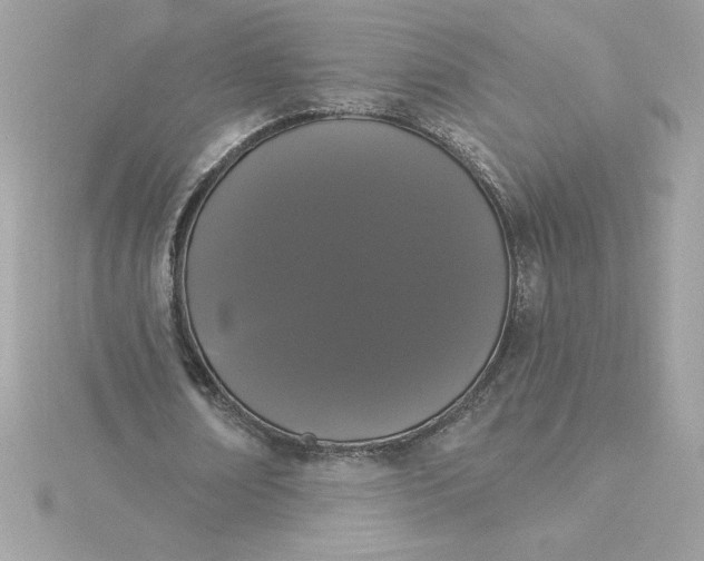 X0000116040674200912041812