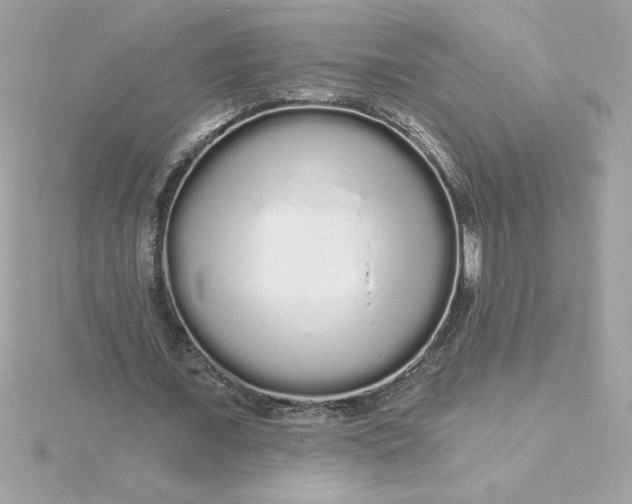 X0000116040675200912041812