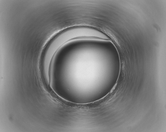 X0000116040676200912041812