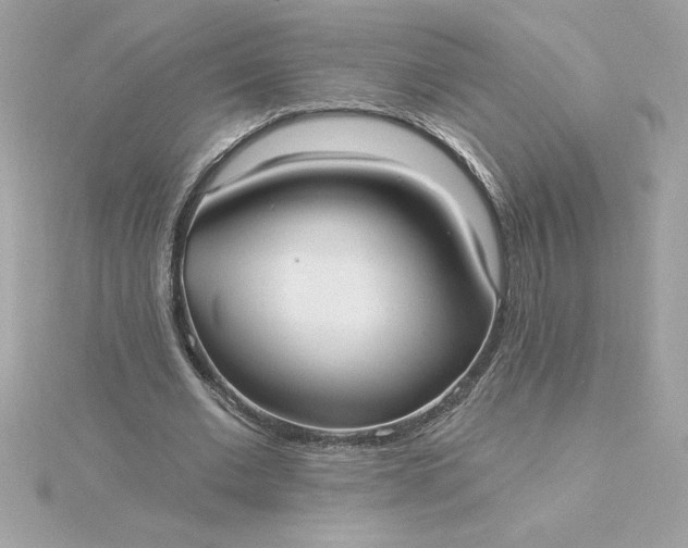 X0000116040677200912041812