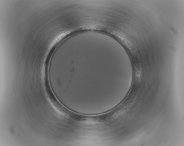 X0000116040678200912041812