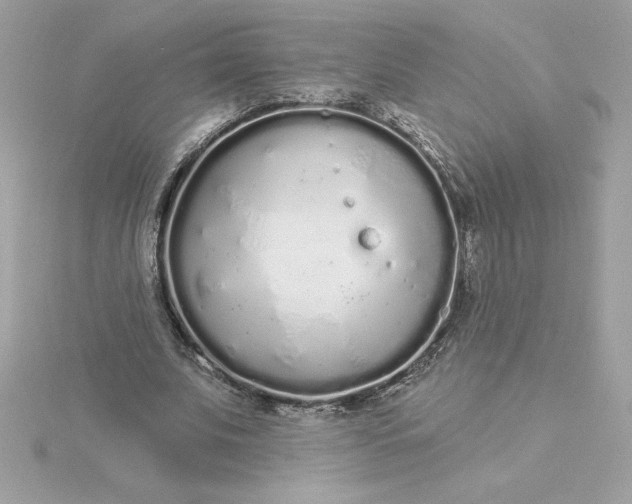 X0000116040679200912041812