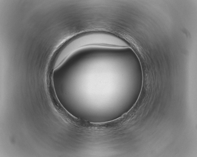 X0000116040680200912041812