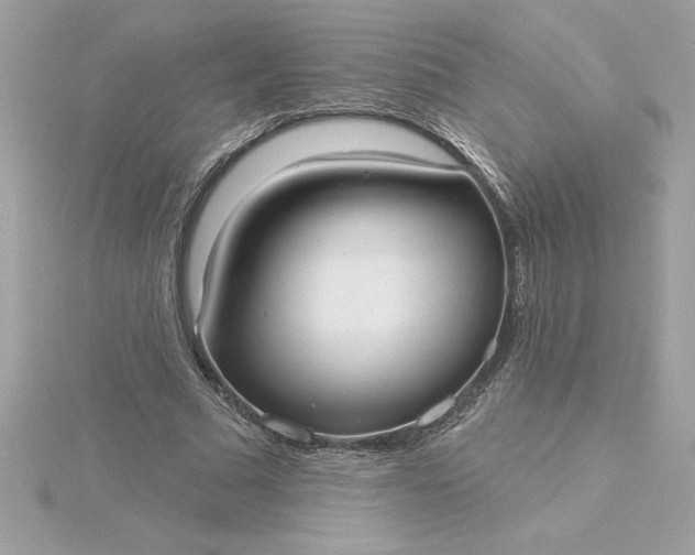 X0000116040681200912041812