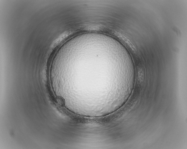 X0000116040682200912041812