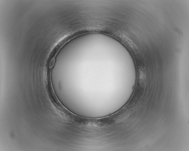 X0000116040684200912041812