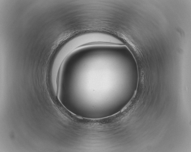 X0000116040685200912041812