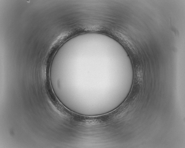 X0000116040686200912041812