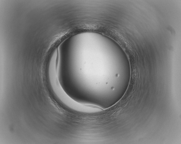 X0000116040688200912041812