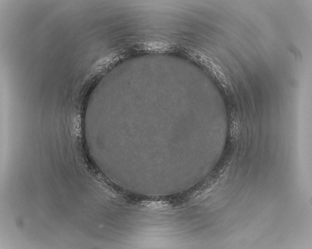 X0000116040689200912041812