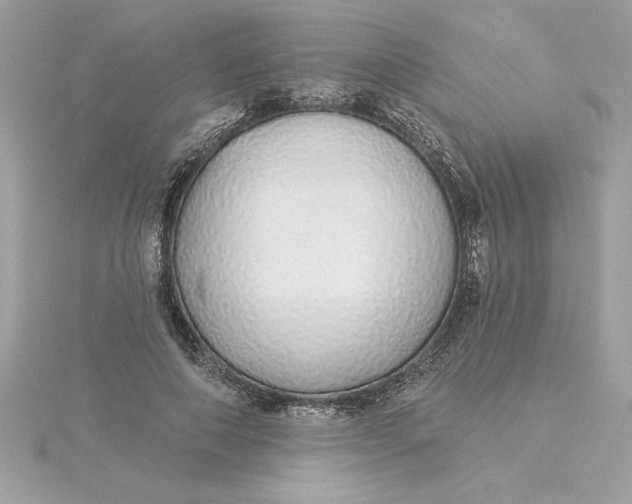 X0000116040690200912041812