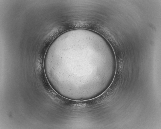 X0000116040691200912041812