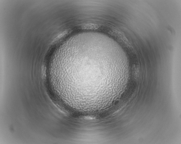 X0000116040692200912041812