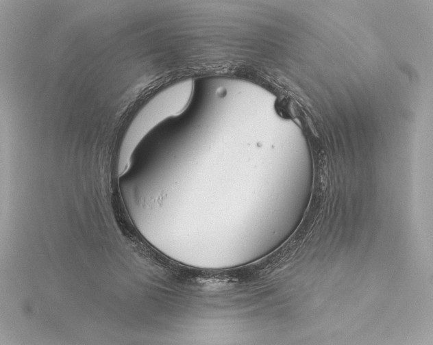 X0000116040693200912041812