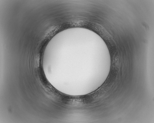 X0000116040694200912041812