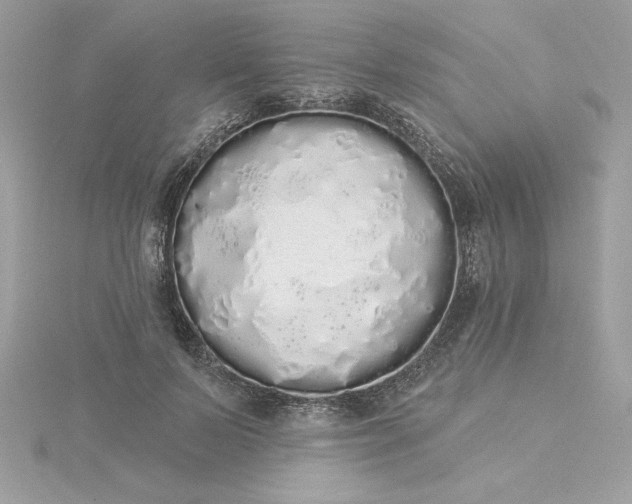 X0000116040695200912041812