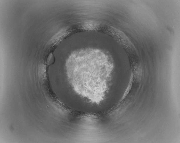 X0000116040696200912041812