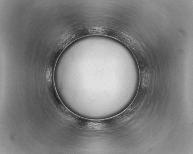 X0000116040699200912041812