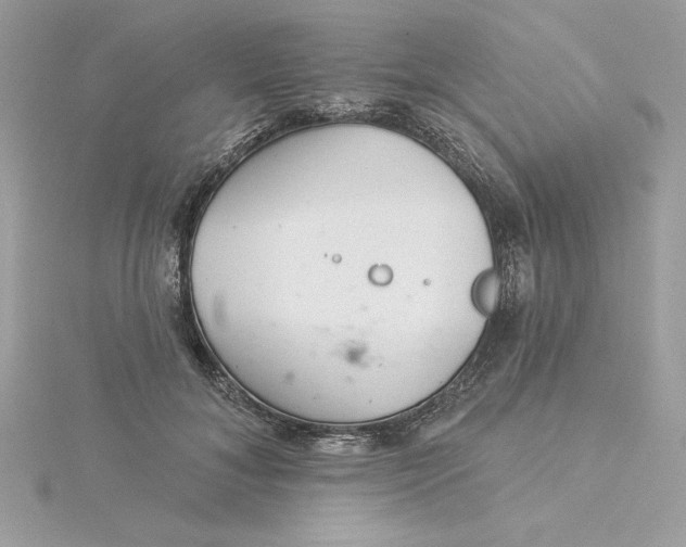 X0000116040700200912041812