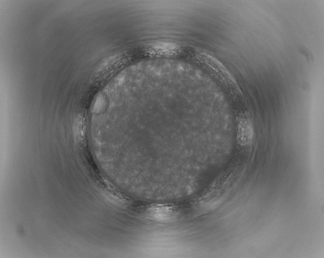 X0000116040701200912041812