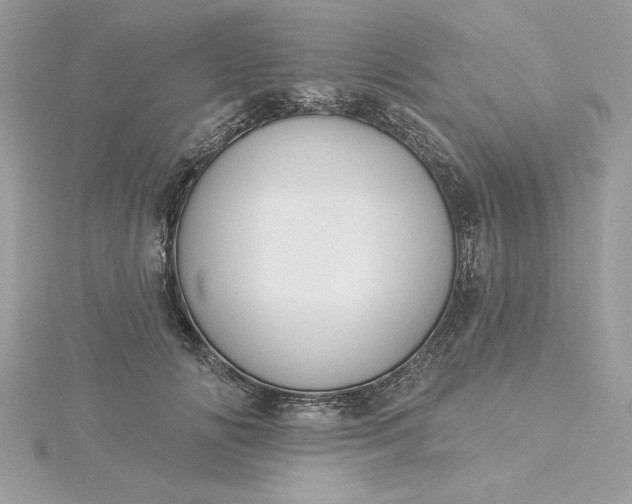 X0000116040702200912041812