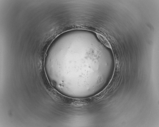 X0000116040703200912041812