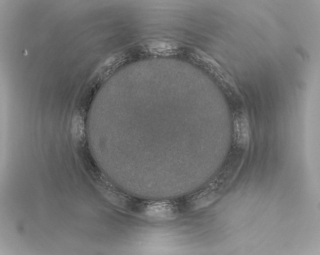 X0000116040705200912041812