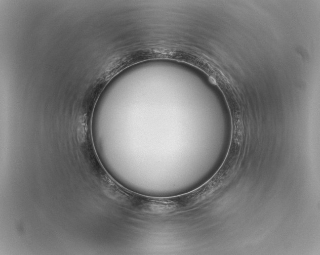 X0000116040707200912041812