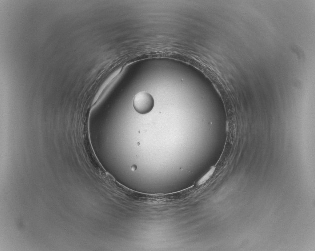 X0000116040709200912041812