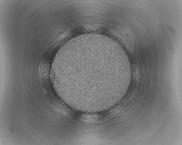 X0000116040712200912041812