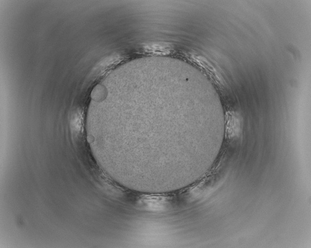 X0000116040713200912041812