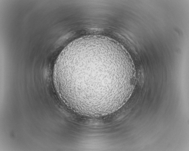 X0000116040714200912041812