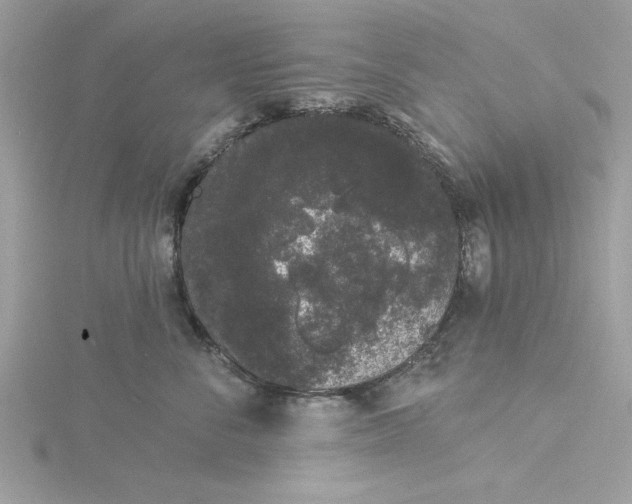 X0000116040716200912041812