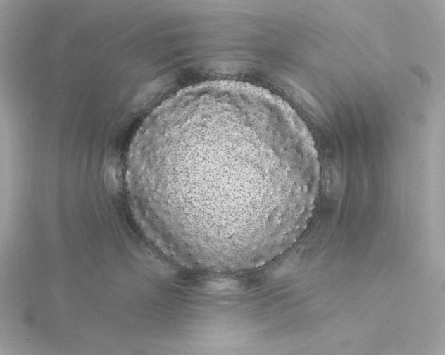 X0000116040718200912041812