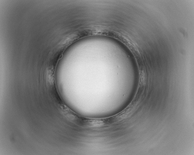 X0000116040719200912041812