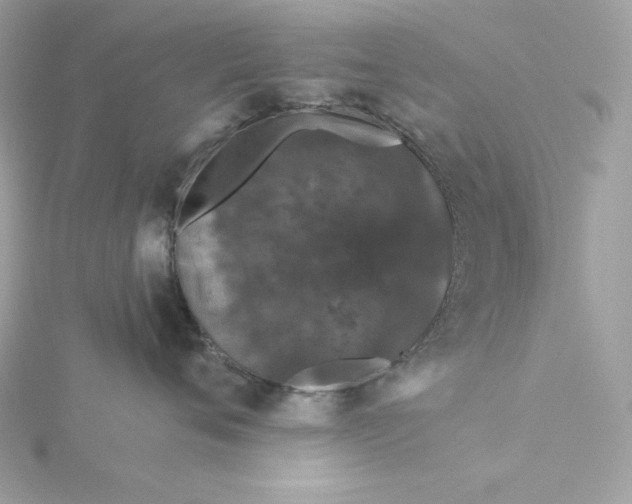 X0000116040720200912041812