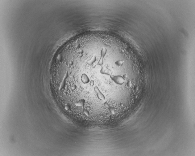 X0000116040721200912041811