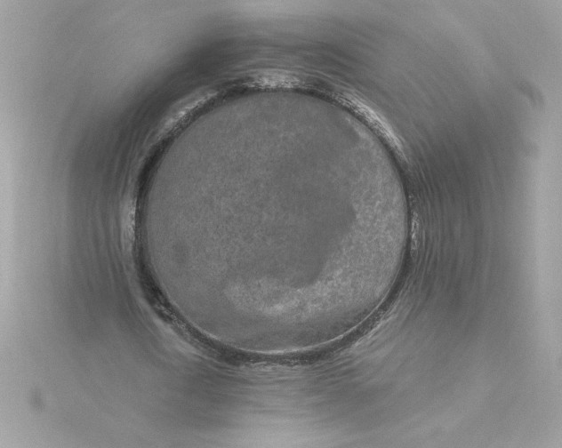 X0000116040722200912041811