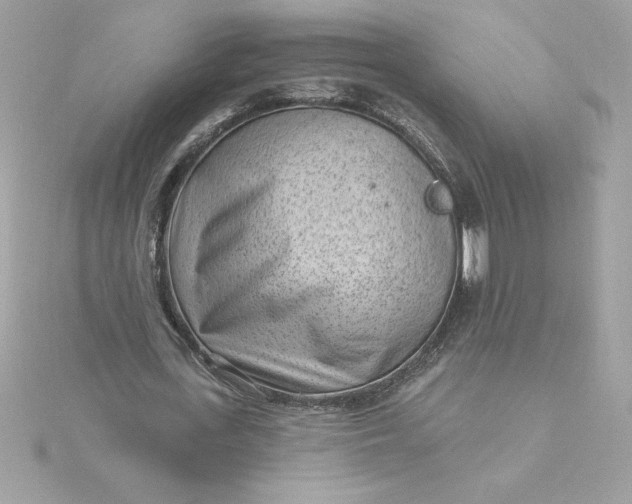 X0000116040723200912041811