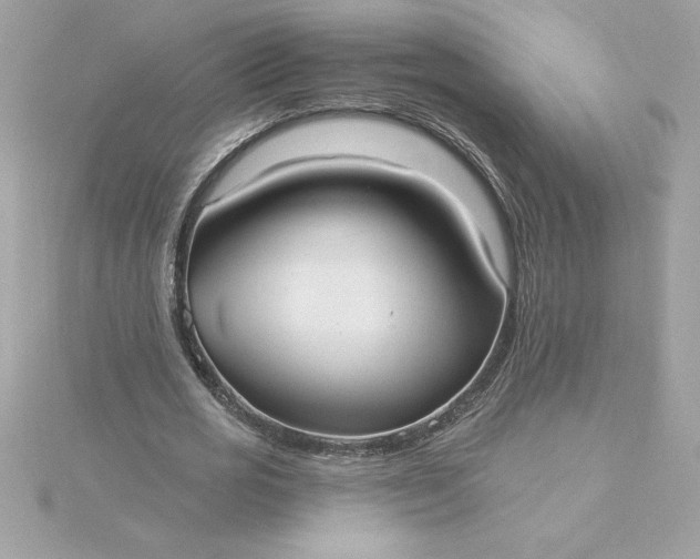 X0000116040725200912041811