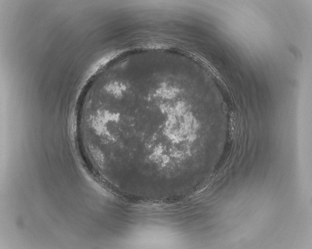 X0000116040726200912041811